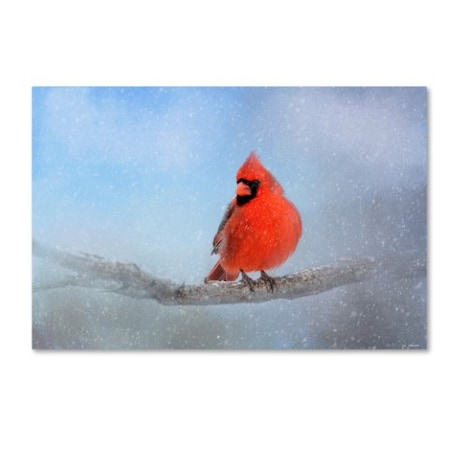 Jai Johnson 'Cardinal In The Snow' Canvas Art,16x24